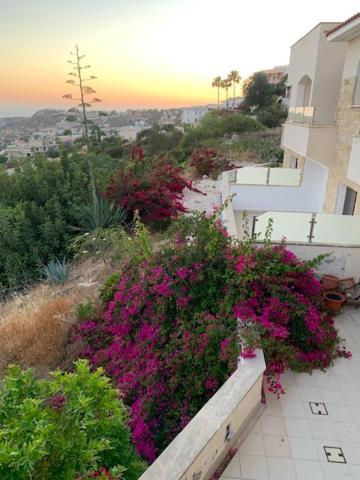 Beau Views Seven Apartment Peyia Luaran gambar
